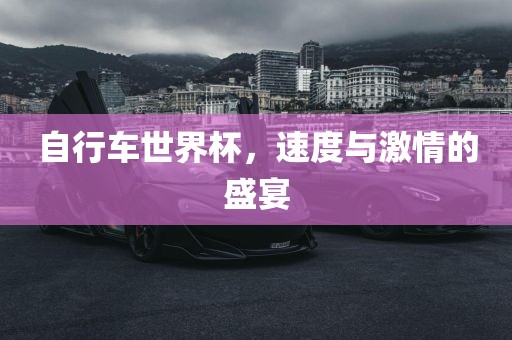 自行车世界杯，速度与激情的盛宴