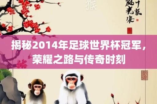 揭秘2014年足球世界杯冠军，荣耀之路与传奇时刻
