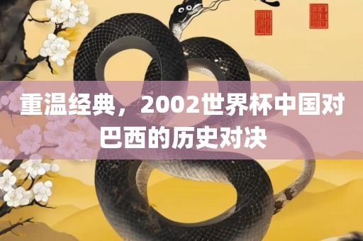 重温经典，2002世界杯中国对巴西的历史对决洪湖市顺升工程机械租赁有限公司