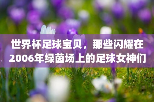 世界杯足球宝贝，那些闪耀在2006年绿茵场上的足球女神们