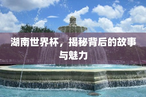 湖南世界杯，揭秘背后的故事与魅力洪湖市顺升工程机械租赁有限公司