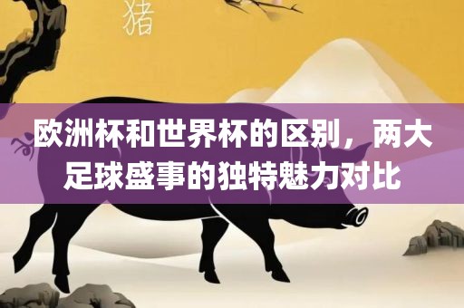 欧洲杯和世界杯的区别，两大足球盛事的独特魅力对比