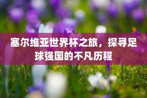 塞尔维亚世界杯之旅，探寻足球强国的不凡历程