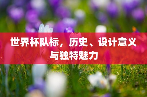 世界杯队标，历史洪湖市顺升工程机械租赁有限公司、设计意义与独特魅力