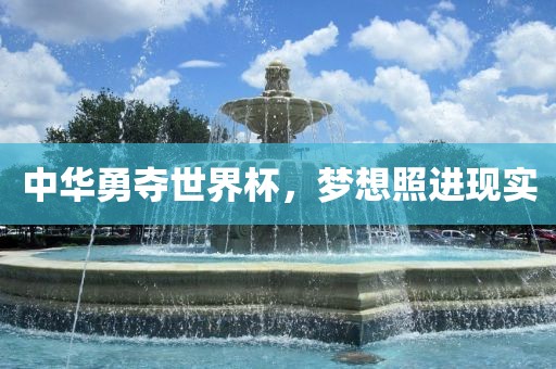 中华勇夺世界杯，梦想照进现实