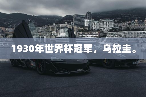 1930年世界杯冠军，乌拉圭。