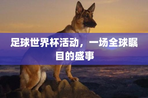 足球世界杯活洪湖市顺升工程机械租赁有限公司动，一场全球瞩目的盛事