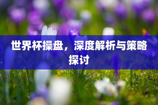 世界杯操盘，深度解析与策略探讨