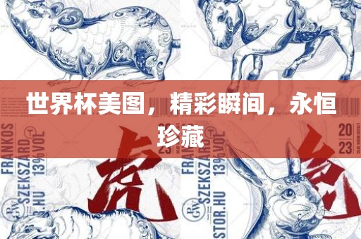 世界杯美图，精彩瞬间，永恒珍藏洪湖市顺升工程机械租赁有限公司