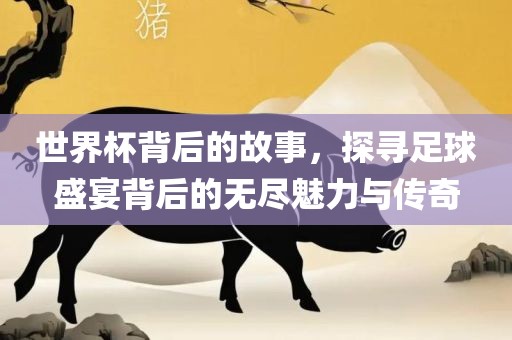 世界杯背后的故事，探寻足球盛宴背后的无尽魅力与传奇洪湖市顺升工程机械租赁有限公司