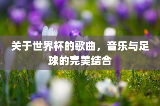 关于世界杯的歌曲，音乐与足球的完美结合