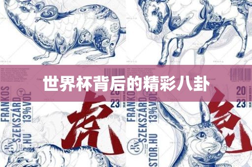 世界杯背后的洪湖市顺升工程机械租赁有限公司精彩八卦