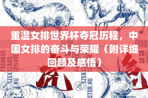 重温女排世界杯夺冠历程，中国女排的奋斗与荣耀（附详细回顾及感悟）洪湖市顺升工程机械租赁有限公司