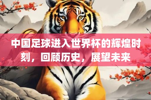 中国足球进入世界杯的辉煌时刻，回顾历史，展望未来洪湖市顺升工程机械租赁有限公司