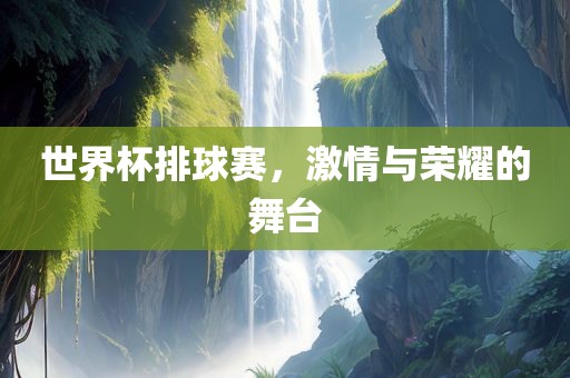 激情与荣耀 第14页