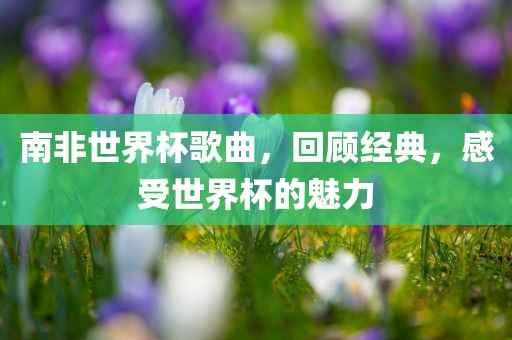 南非世界杯歌曲，回顾经典，感受世界杯的魅力