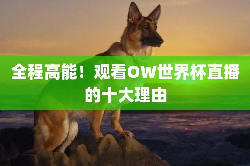 全程高能！观看OW世界杯直播的十大理由