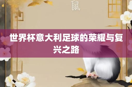 世界杯意大利足球的荣耀与复兴之路