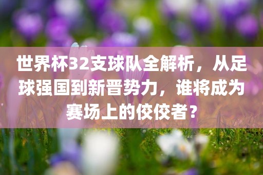 世界杯32支球队全解析，从足球强国到新晋势力，谁将成为赛场上的佼佼者？
