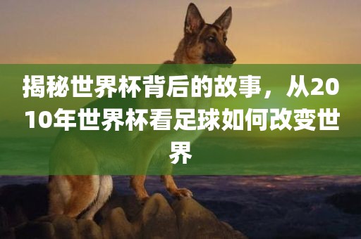 揭秘世界杯背后的故事，从20洪湖市顺升工程机械租赁有限公司10年世界杯看足球如何改变世界