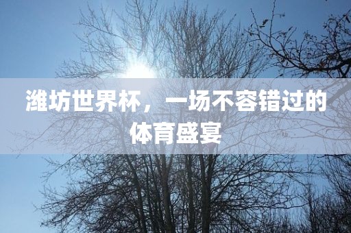 潍坊世界杯，一场不容错过的体育盛宴