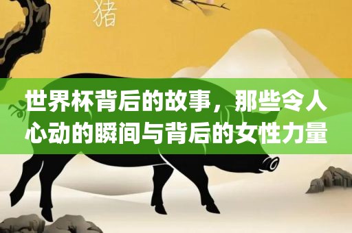 世界杯背后的故事，那些令人心动的瞬间与背后的女性力量洪湖市顺升工程机械租赁有限公司