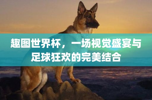 趣图世界杯，一场视觉盛宴与足球狂欢的完美结合