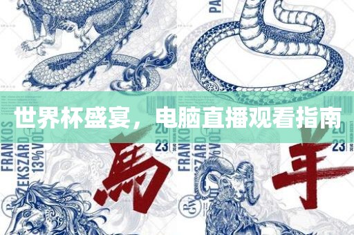 世界杯盛宴，电脑直播观看指南洪湖市顺升工程机械租赁有限公司