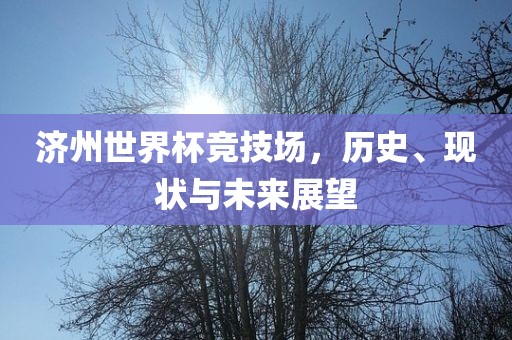 济州世界杯竞技场，历史、现状与未洪湖市顺升工程机械租赁有限公司来展望