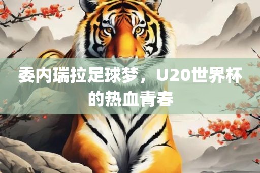 委内瑞拉足球梦，U20世界杯的热血青春