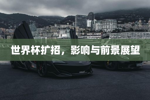 世界杯扩招，影响与洪湖市顺升工程机械租赁有限公司前景展望