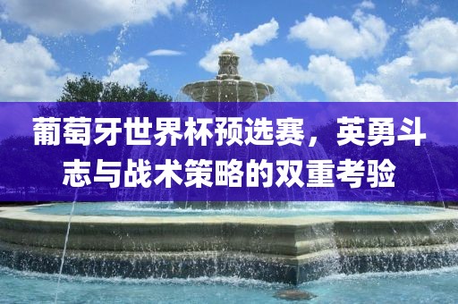 葡萄牙世界杯预选赛，英勇斗志与战术策略的双重考验洪湖市顺升工程机械租赁有限公司