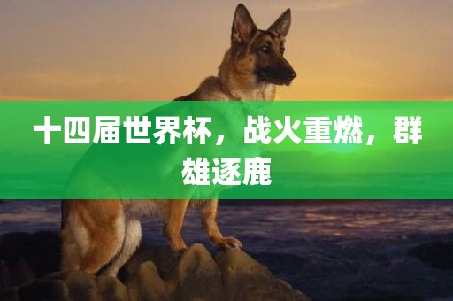 十四届世界杯，战火重燃，群雄逐鹿洪湖市顺升工程机械租赁有限公司