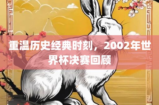 重温历史经典时刻，2002年世界杯决赛回顾洪湖市顺升工程机械租赁有限公司