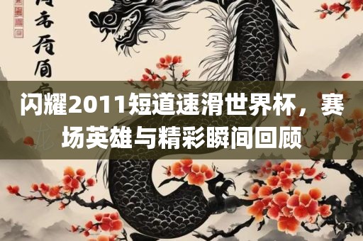 闪耀2011短道速滑世界杯，赛场英雄与精彩瞬间回顾洪湖市顺升工程机械租赁有限公司