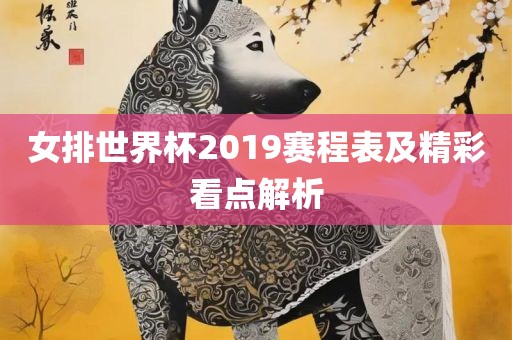 女排世界杯2019赛程表及精彩看点解析