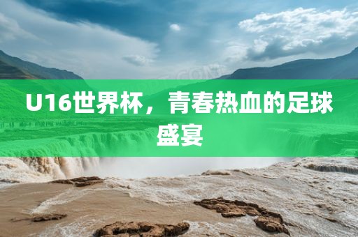U16世界杯，青春热血的足球盛宴