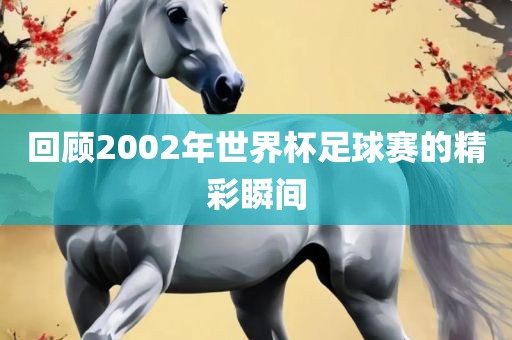 回顾2002年世界杯足球赛的精彩瞬间