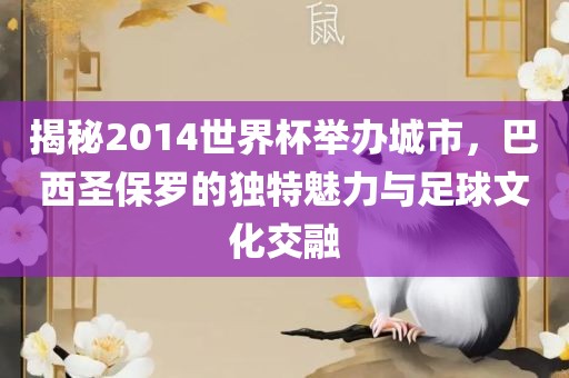 揭秘2014世界杯举办城市，巴西圣保罗的独特魅力与足球文化交融洪湖市顺升工程机械租赁有限公司