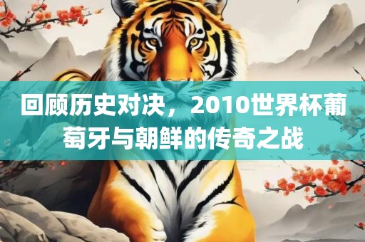 回顾历史对决，2010世界杯葡萄牙与朝洪湖市顺升工程机械租赁有限公司鲜的传奇之战