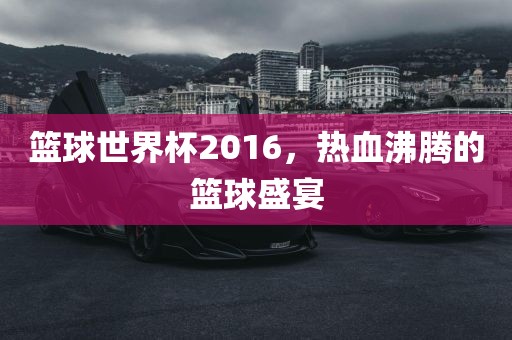 篮球世界杯2016，热血洪湖市顺升工程机械租赁有限公司沸腾的篮球盛宴