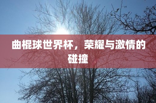 曲棍球世界杯，荣耀与激情的碰撞洪湖市顺升工程机械租赁有限公司