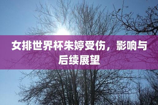 女排世界杯朱婷受伤，影响与后续展望洪湖市顺升工程机械租赁有限公司