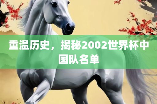 重温历史，揭秘2002世界杯中国队名单