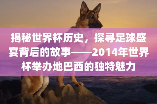 揭秘世界杯历史，探寻足球盛宴背后的故事——2014年世界杯举办地巴西的独特魅力洪湖市顺升工程机械租赁有限公司