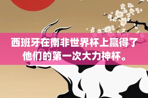 西班牙在南非世界杯上赢得了他们的第一次大力神杯。