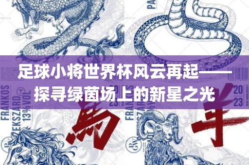 足球小将世界杯风云再起——探寻绿茵场上的新星之光洪湖市顺升工程机械租赁有限公司