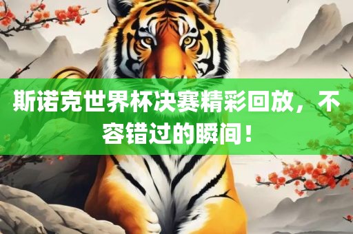 斯诺克世界杯决赛精彩回放，不容错过的瞬间！