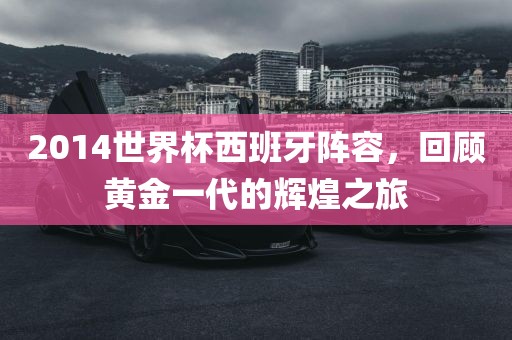 2014世界杯西班牙阵容，回顾黄金一代的辉煌之旅洪湖市顺升工程机械租赁有限公司