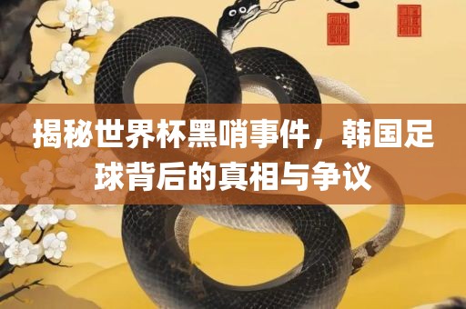 揭秘世界杯黑洪湖市顺升工程机械租赁有限公司哨事件，韩国足球背后的真相与争议